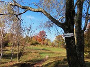 Alla Madonnina del Costone (1195 m) in veste autunnale da Salmezza-21ott24 - FOTOGALLERY